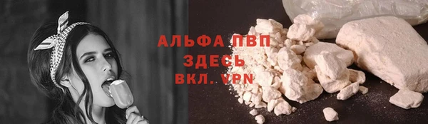 сатива Балахна