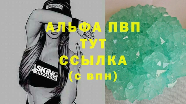 молекула духа Арсеньев